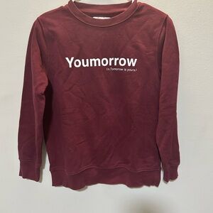 Zara Burgundy Crew Neck Sweater 0233 B2